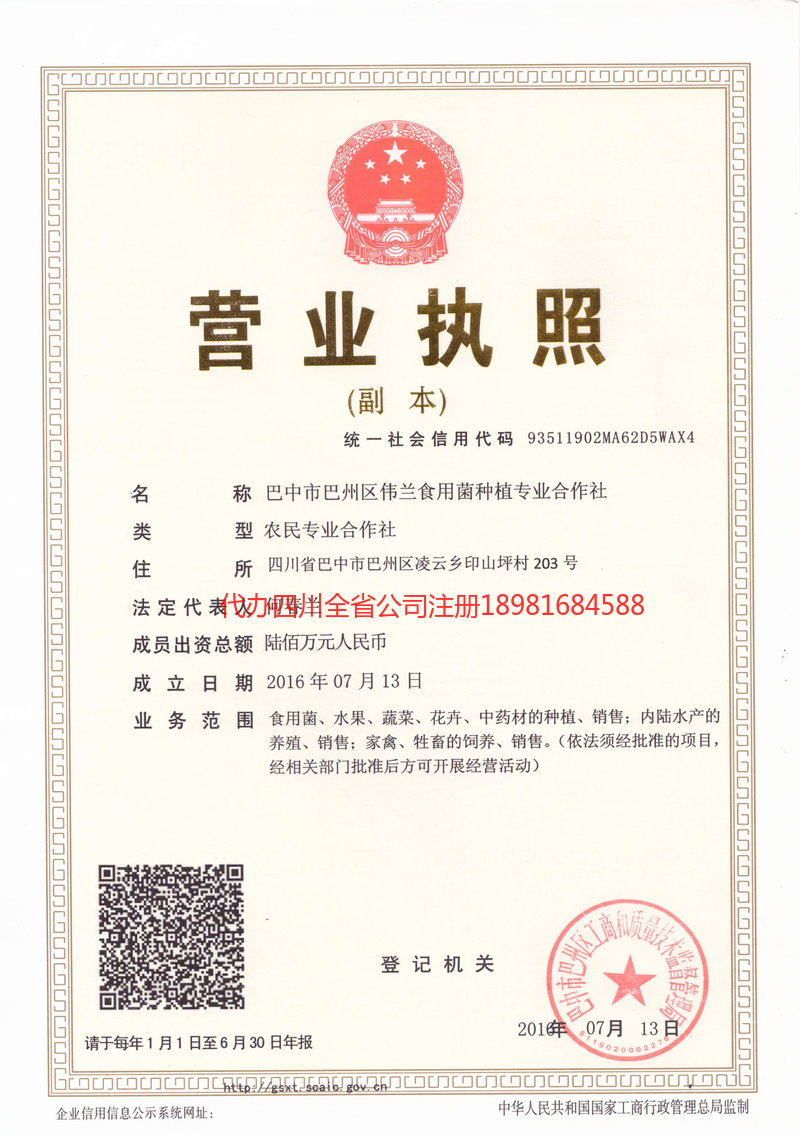 烟台烟台伟兰食用菌种植专业合作社